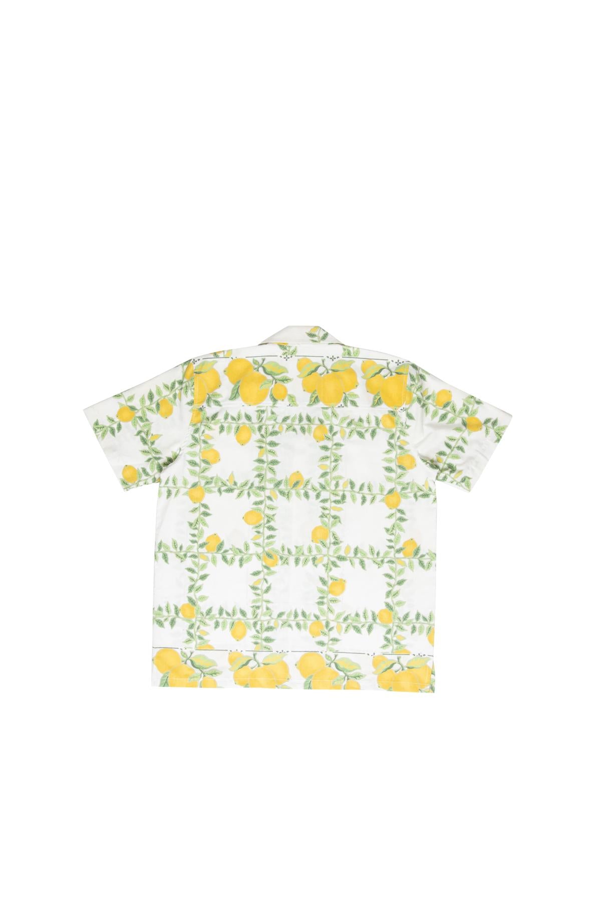 Crazy Shirt in M